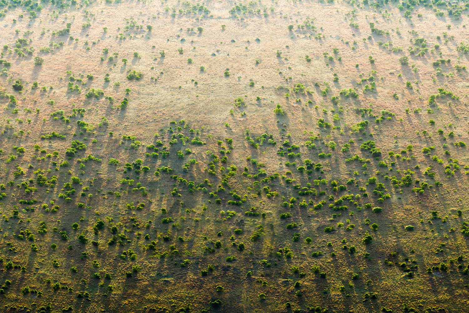  read Something Positive: The Great Green Wall of Africa